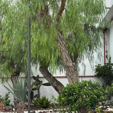 公寓 Casa Molly At Garden *