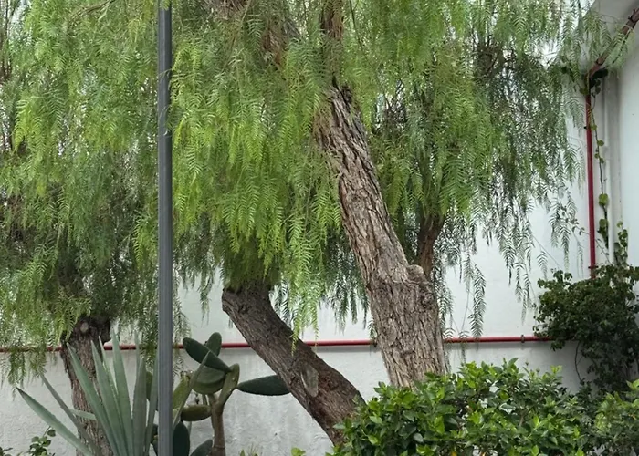 Apartment Casa Molly At Garden *